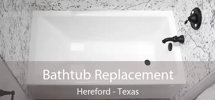 Bathtub Replacement Hereford - Texas