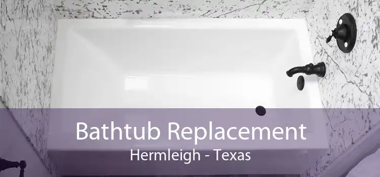 Bathtub Replacement Hermleigh - Texas