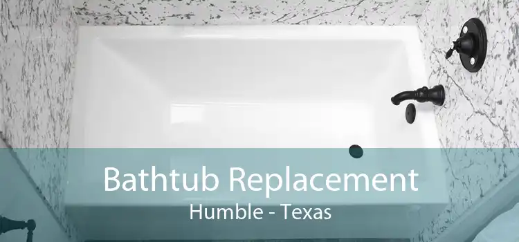 Bathtub Replacement Humble - Texas