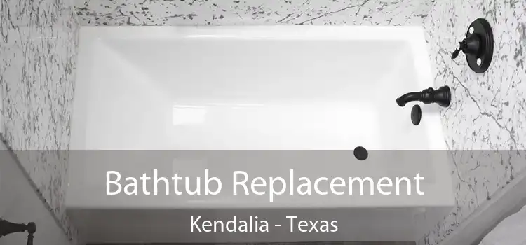 Bathtub Replacement Kendalia - Texas
