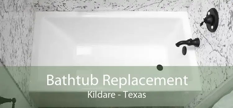 Bathtub Replacement Kildare - Texas