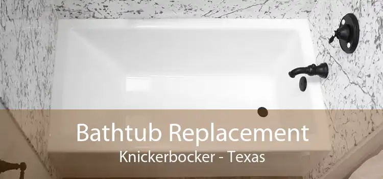 Bathtub Replacement Knickerbocker - Texas