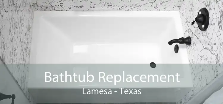 Bathtub Replacement Lamesa - Texas