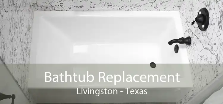 Bathtub Replacement Livingston - Texas
