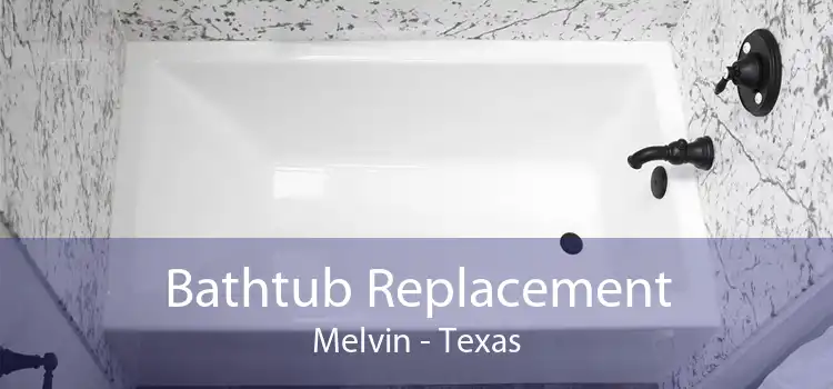 Bathtub Replacement Melvin - Texas