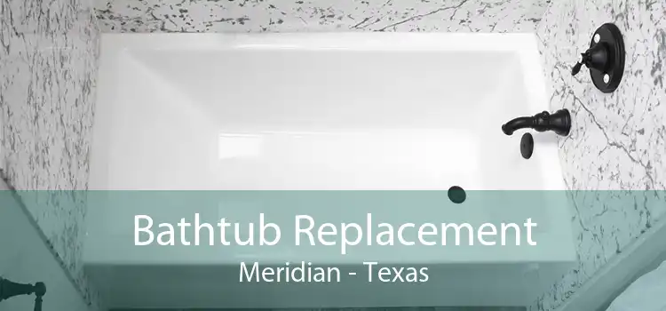 Bathtub Replacement Meridian - Texas