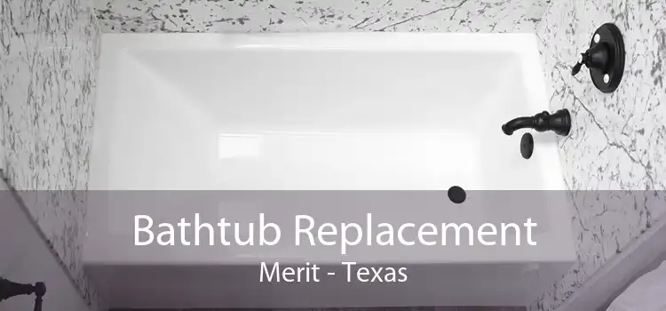 Bathtub Replacement Merit - Texas