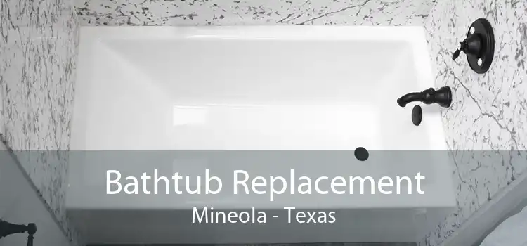 Bathtub Replacement Mineola - Texas