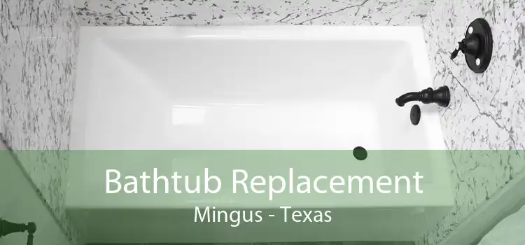 Bathtub Replacement Mingus - Texas
