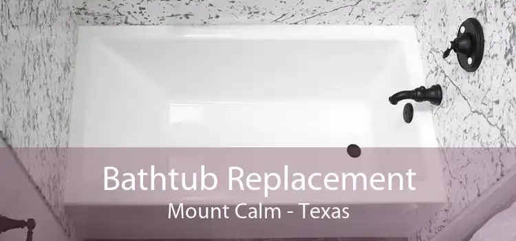 Bathtub Replacement Mount Calm - Texas