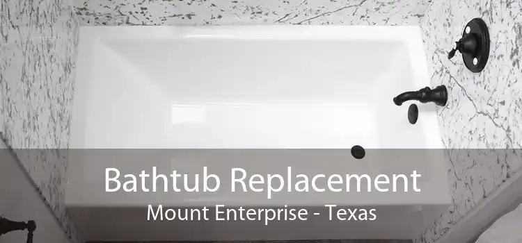 Bathtub Replacement Mount Enterprise - Texas