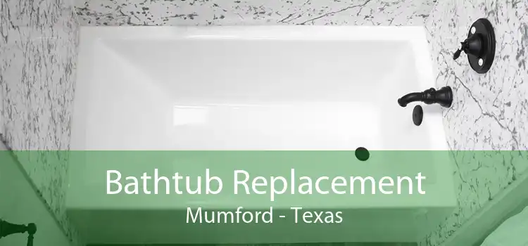 Bathtub Replacement Mumford - Texas