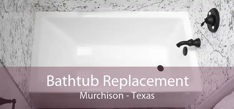 Bathtub Replacement Murchison - Texas