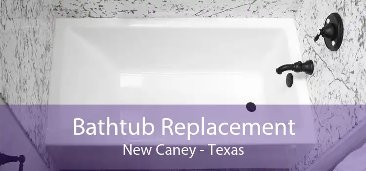 Bathtub Replacement New Caney - Texas