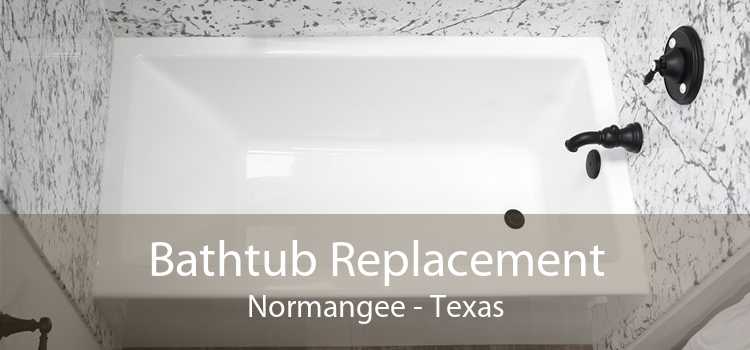 Bathtub Replacement Normangee - Texas