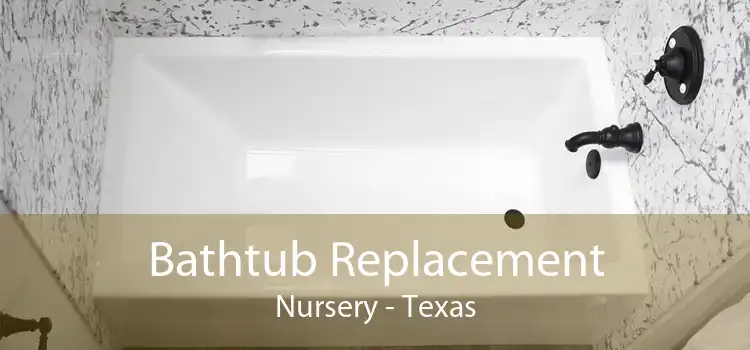 Bathtub Replacement Nursery - Texas