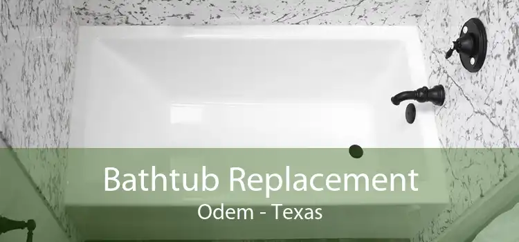 Bathtub Replacement Odem - Texas