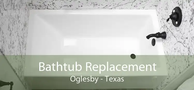 Bathtub Replacement Oglesby - Texas