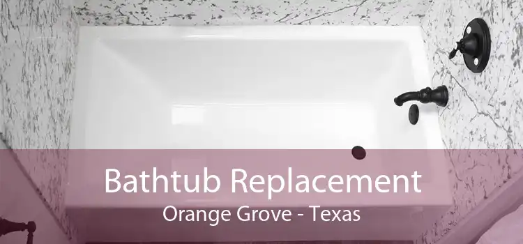 Bathtub Replacement Orange Grove - Texas
