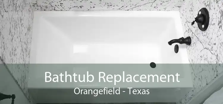 Bathtub Replacement Orangefield - Texas