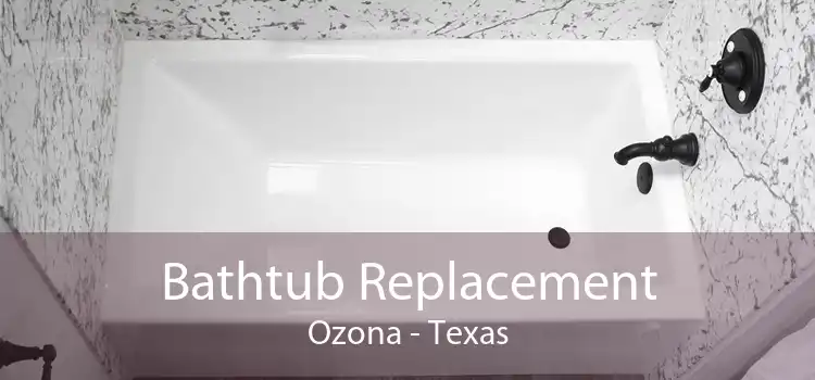 Bathtub Replacement Ozona - Texas
