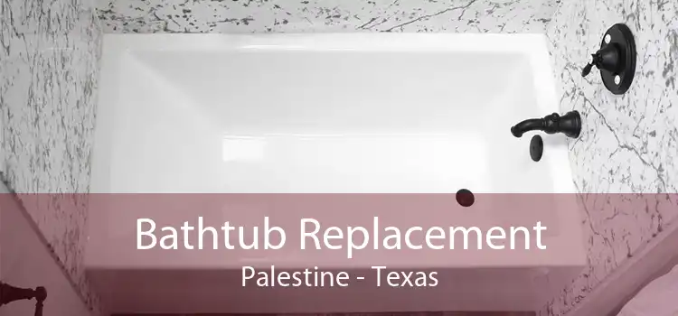 Bathtub Replacement Palestine - Texas