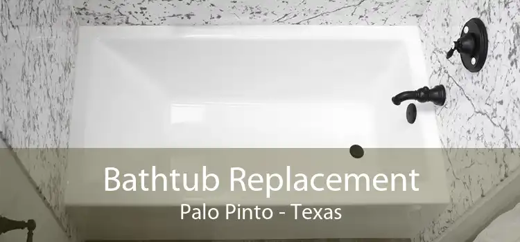 Bathtub Replacement Palo Pinto - Texas