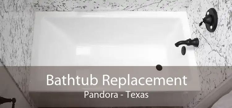 Bathtub Replacement Pandora - Texas