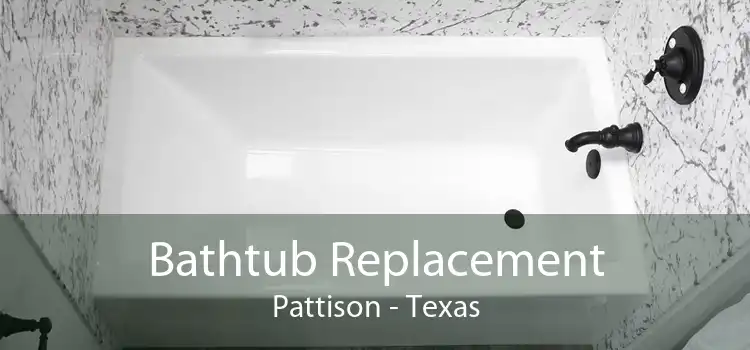 Bathtub Replacement Pattison - Texas