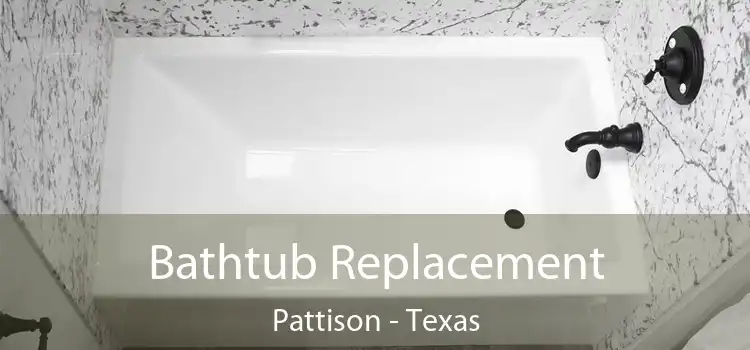 Bathtub Replacement Pattison - Texas