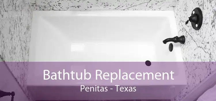 Bathtub Replacement Penitas - Texas