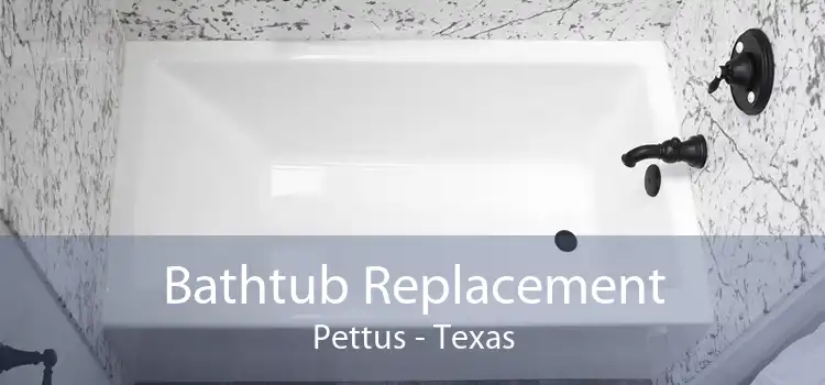 Bathtub Replacement Pettus - Texas