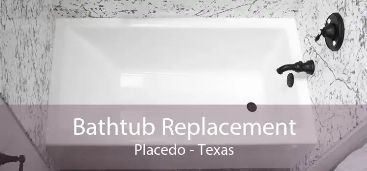 Bathtub Replacement Placedo - Texas