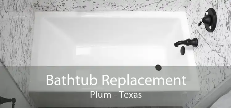 Bathtub Replacement Plum - Texas