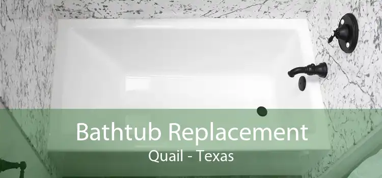 Bathtub Replacement Quail - Texas