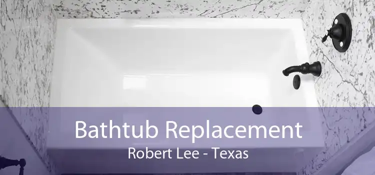 Bathtub Replacement Robert Lee - Texas