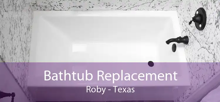 Bathtub Replacement Roby - Texas