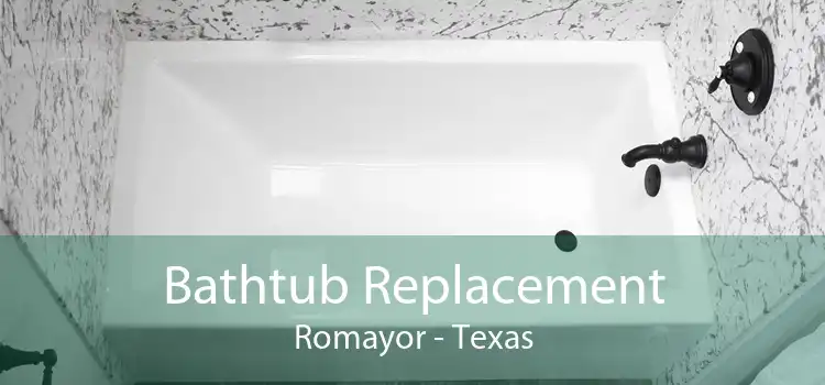 Bathtub Replacement Romayor - Texas