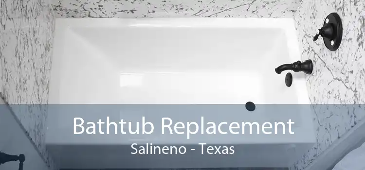 Bathtub Replacement Salineno - Texas