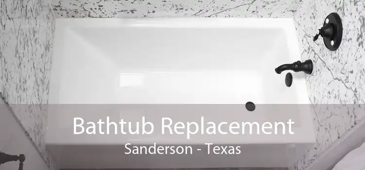 Bathtub Replacement Sanderson - Texas