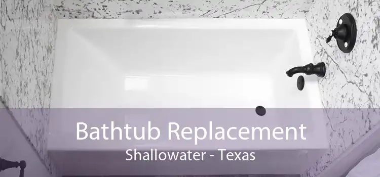 Bathtub Replacement Shallowater - Texas