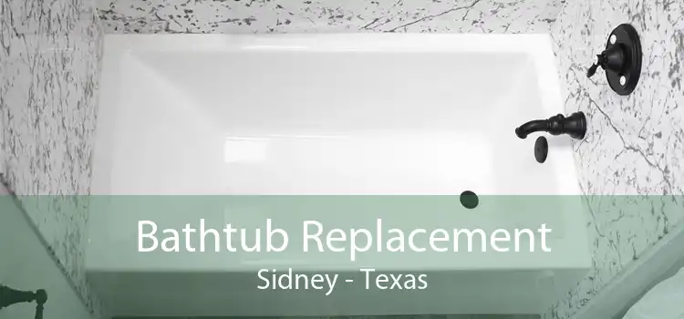 Bathtub Replacement Sidney - Texas