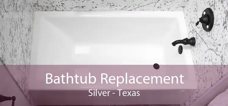 Bathtub Replacement Silver - Texas