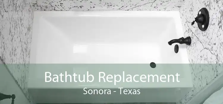 Bathtub Replacement Sonora - Texas