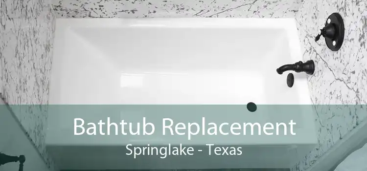 Bathtub Replacement Springlake - Texas