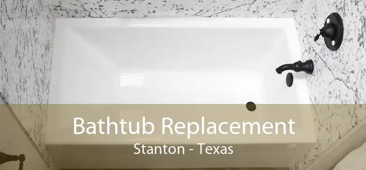 Bathtub Replacement Stanton - Texas