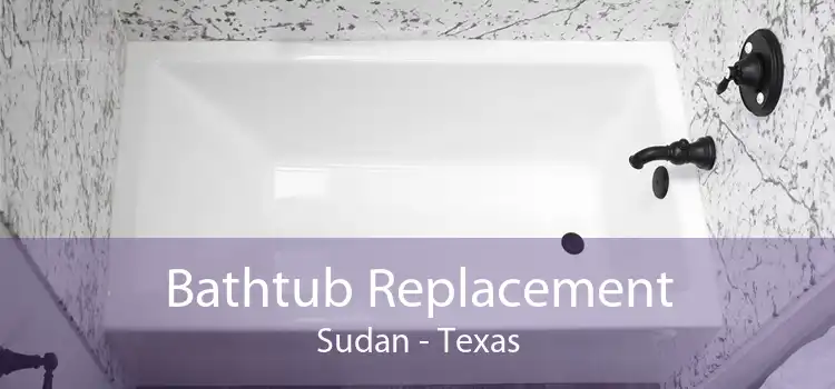 Bathtub Replacement Sudan - Texas