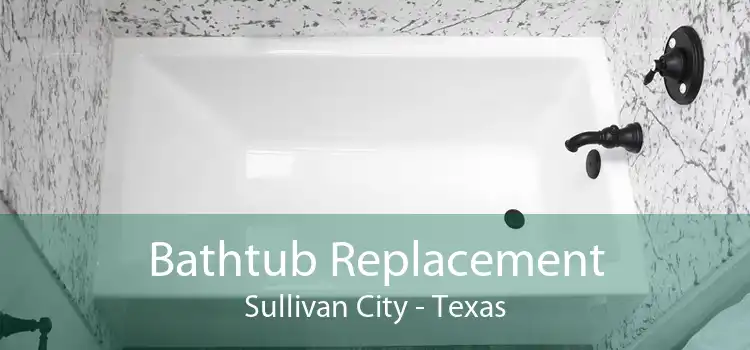 Bathtub Replacement Sullivan City - Texas