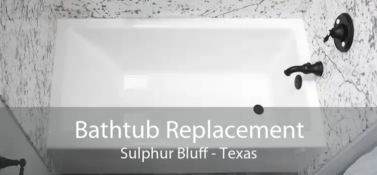 Bathtub Replacement Sulphur Bluff - Texas