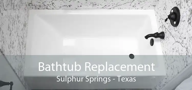 Bathtub Replacement Sulphur Springs - Texas